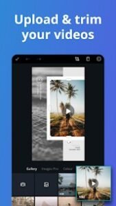 Canva Pro Mod Apk 2 104 0 Free Download Tricksvile